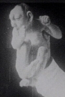 Nucleus Ambiguous (2002)