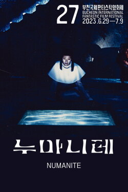 NUMANITE (1995) NUMANITE (1995)