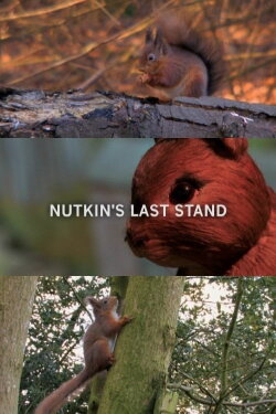 Nutkin's Last Stand (2009) Nutkin's Last Stand (2009)