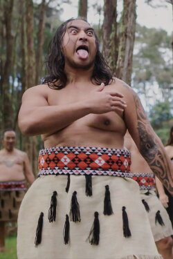 NZ Wars - The Stories Of Ruapekapeka (2017)