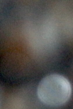 O (2016)
