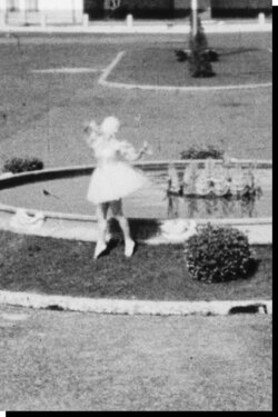 O Cysne (1936)
