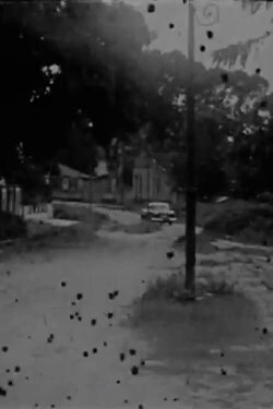 O Desastre (1952)