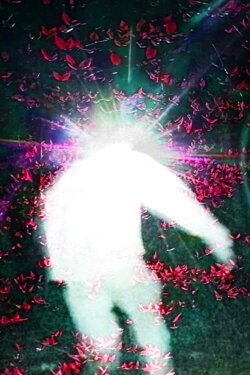 O (2023)