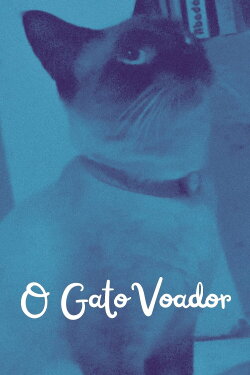 O gato voador (2024)