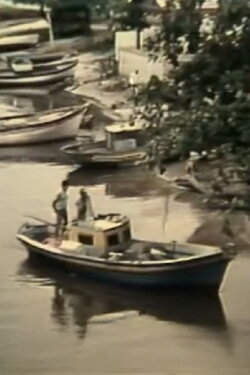 O Grito do Rio (1981) O Grito do Rio (1981)
