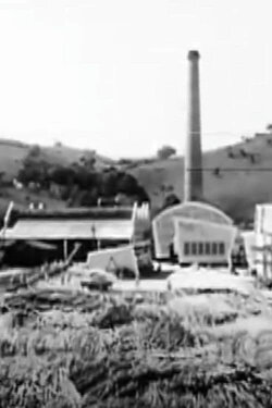 O Papel (1962)