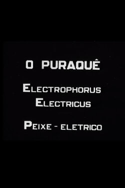 O Puraquê (1939)