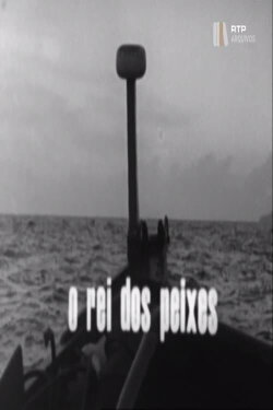 O Rei dos Peixes (1976) O Rei dos Peixes (1976)