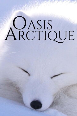 Oasis Arctique (2021)