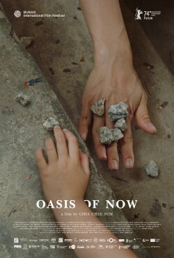 Oasis of Now (2023) Oasis of Now (2023)