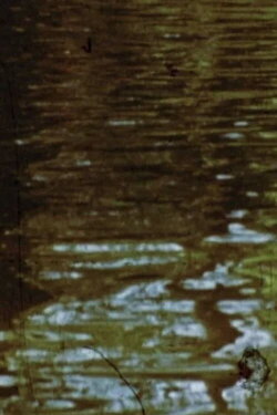 Obatala (1989)