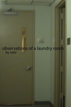 Observations of a laundry room (2023) Observations of a laundry room (2023)