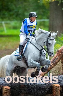 Obstacles (2017)