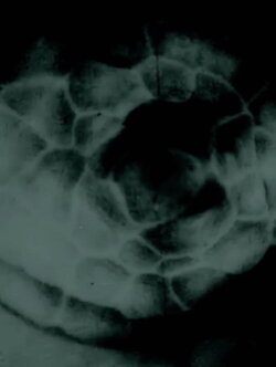 occhiolino (2022)