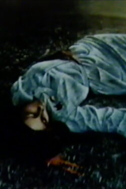 Occupied Palestine (1981)