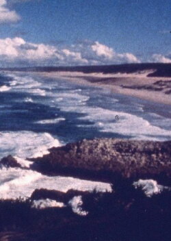 Ocean at Point Lookout (1977) Ocean at Point Lookout (1977)