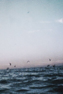 Ocean III (2018) Ocean III (2018)