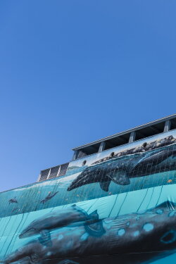 Ocean Stories: Wyland (2016) Ocean Stories: Wyland (2016)