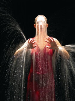 Ocean Without a Shore (2007)