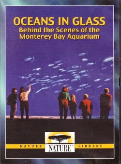 Oceans in Glass (2011) Oceans in Glass (2011)