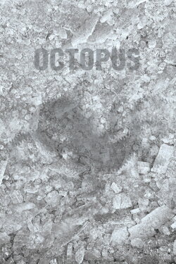 Octopus (2021)