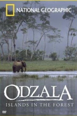 Odzala - Islands in the Forest (2008) Odzala - Islands in the Forest (2008)