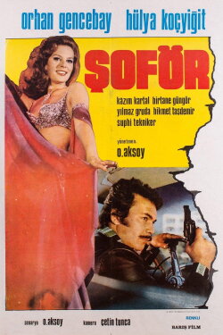 Şoför (1976) Şoför (1976)