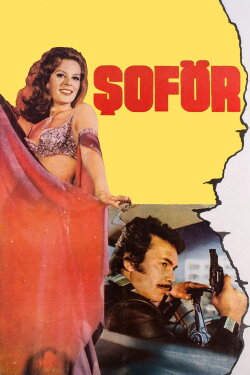Şoför (1976)