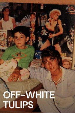 Off-White Tulips (2013)