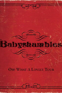 Oh! What a Lovely Tour - Babyshambles Live (2008) Oh! What a Lovely Tour - Babyshambles Live (2008)