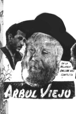 Old Tree (1943)