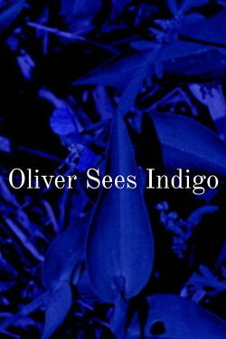 Oliver Sees Indigo (2022) Oliver Sees Indigo (2022)
