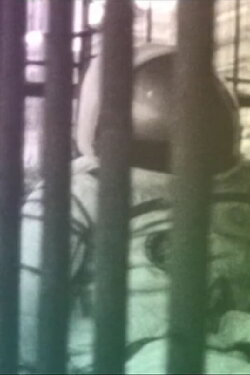 On The Good Earth (2011) On The Good Earth (2011)