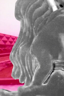 On the Nature of the Bone (2022)