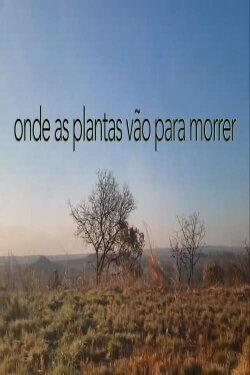 Onde As Plantas Vão Para Morrer (2021) Onde As Plantas Vão Para Morrer (2021)