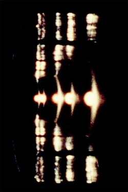 One (1978)