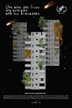 One Aloe, One Ficus, One Avocado and Six Dracaenas (2023) One Aloe, One Ficus, One Avocado and Six Dracaenas (2023)