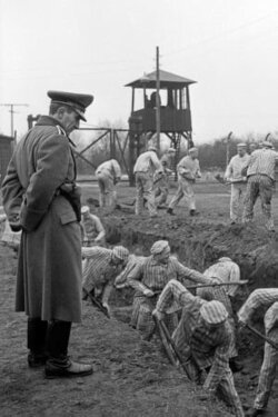 One Day: A Report from a German Concentration Camp 1939 (1965) One Day: A Report from a German Concentration Camp 1939 (1965)