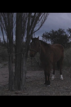 One Day And Every Day (2012) One Day And Every Day (2012)