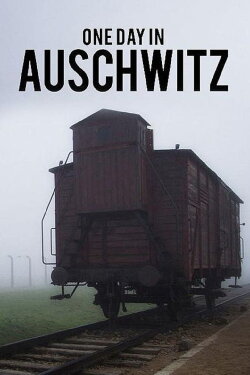 One Day in Auschwitz (2015) One Day in Auschwitz (2015)