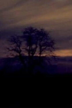 One Dream (2011)