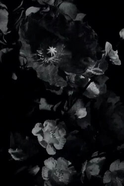 One Eye Open (2011)