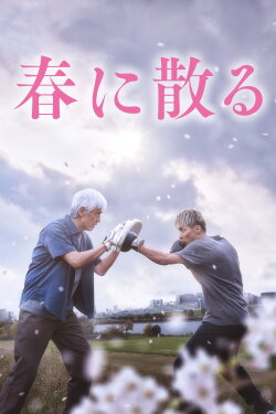One Last Bloom (2023) One Last Bloom (2023)