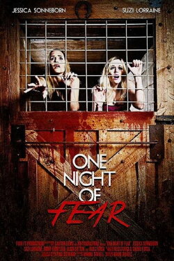 One Night of Fear (2016) One Night of Fear (2016)