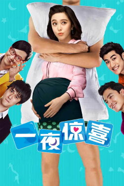 One Night Surprise (2013) One Night Surprise (2013)