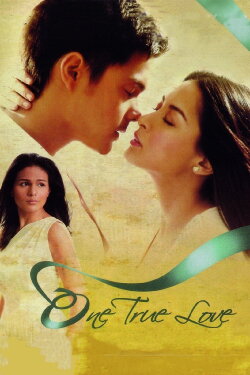 One True Love (2008) One True Love (2008)