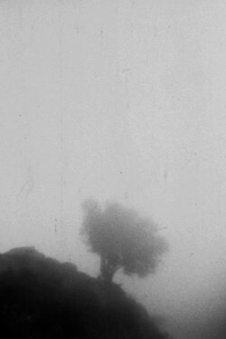 Only If You Could See a View Above the Clouds (2023) Only If You Could See a View Above the Clouds (2023)