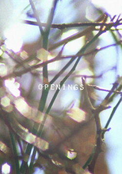 Openings (2016) Openings (2016)