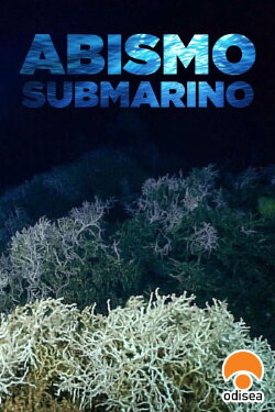 Operation Deep Sea (2009) Operation Deep Sea (2009)